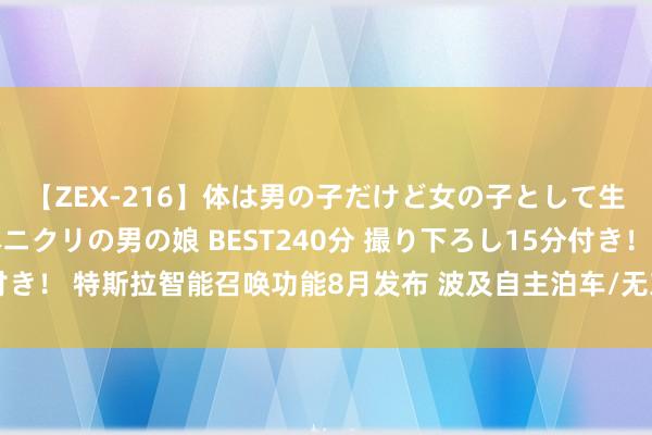 【ZEX-216】体は男の子だけど女の子として生きてる 感じやすいペニクリの男の娘 BEST240分 撮り下ろし15分付き！ 特斯拉智能召唤功能8月发布 波及自主泊车/无东说念主驾驶接送客等