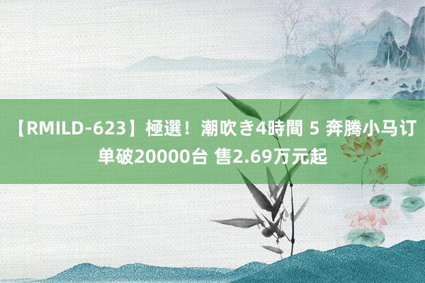 【RMILD-623】極選！潮吹き4時間 5 奔腾小马订单破20000台 售2.69万元起