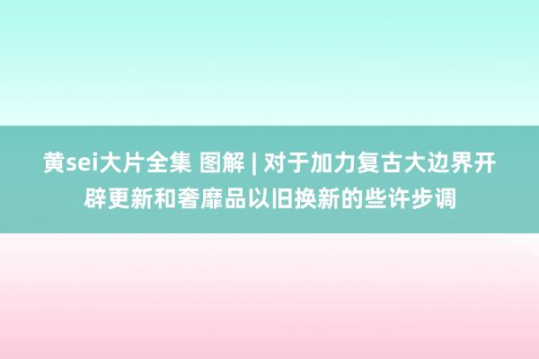 黄sei大片全集 图解 | 对于加力复古大边界开辟更新和奢靡品以旧换新的些许步调