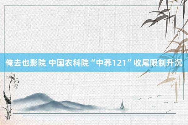 俺去也影院 中国农科院“中荞121”收尾限制升沉