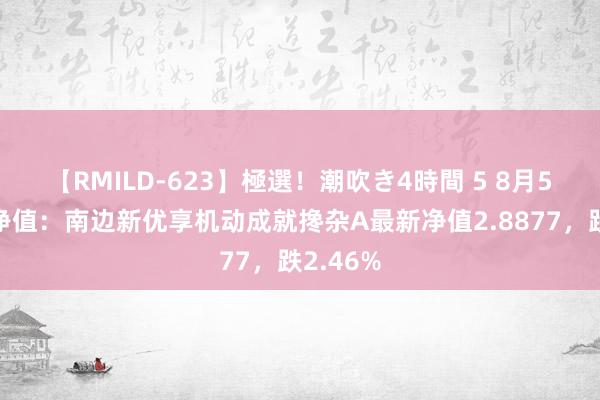 【RMILD-623】極選！潮吹き4時間 5 8月5日基金净值：南边新优享机动成就搀杂A最新净值2.8877，跌2.46%