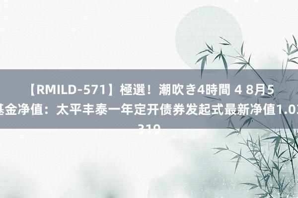 【RMILD-571】極選！潮吹き4時間 4 8月5日基金净值：太平丰泰一年定开债券发起式最新净值1.0319