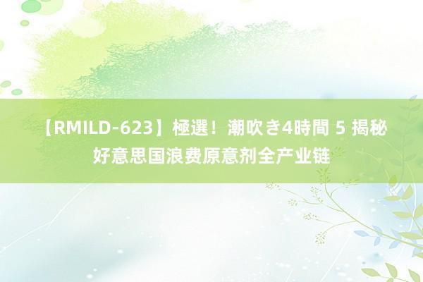 【RMILD-623】極選！潮吹き4時間 5 揭秘好意思国浪费原意剂全产业链