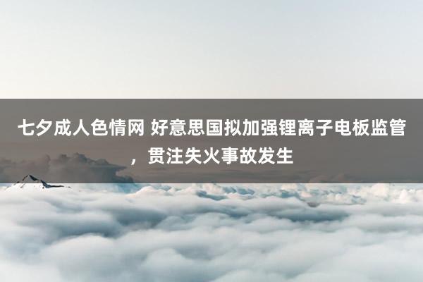 七夕成人色情网 好意思国拟加强锂离子电板监管，贯注失火事故发生