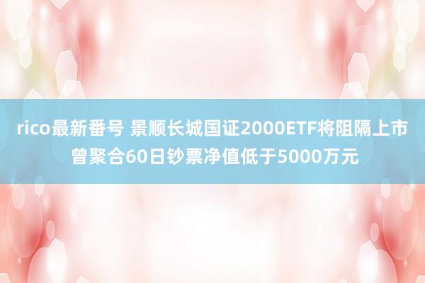 rico最新番号 景顺长城国证2000ETF将阻隔上市 曾聚合60日钞票净值低于5000万元