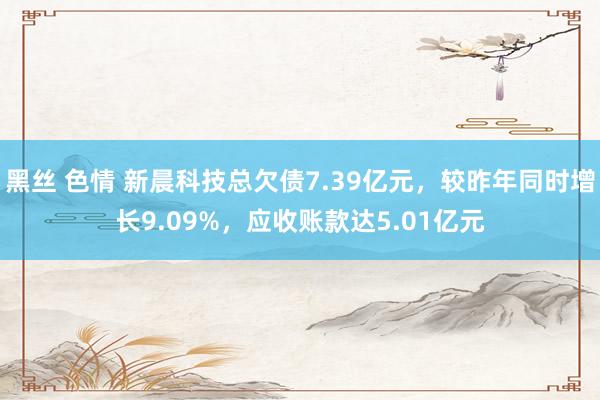 黑丝 色情 新晨科技总欠债7.39亿元，较昨年同时增长9.09%，应收账款达5.01亿元