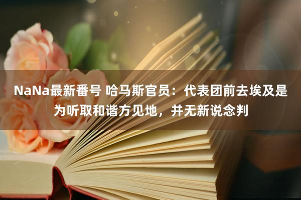 NaNa最新番号 哈马斯官员：代表团前去埃及是为听取和谐方见地，并无新说念判