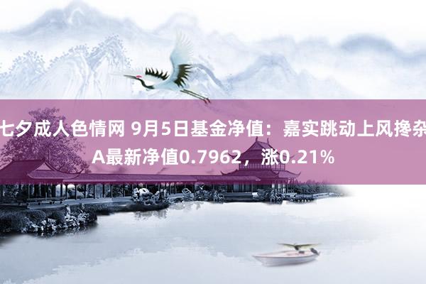 七夕成人色情网 9月5日基金净值：嘉实跳动上风搀杂A最新净值0.7962，涨0.21%