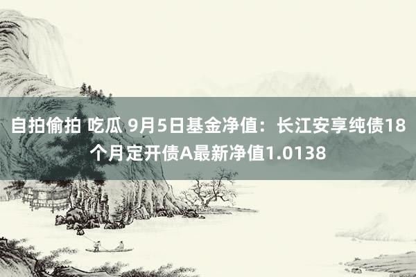 自拍偷拍 吃瓜 9月5日基金净值：长江安享纯债18个月定开债A最新净值1.0138