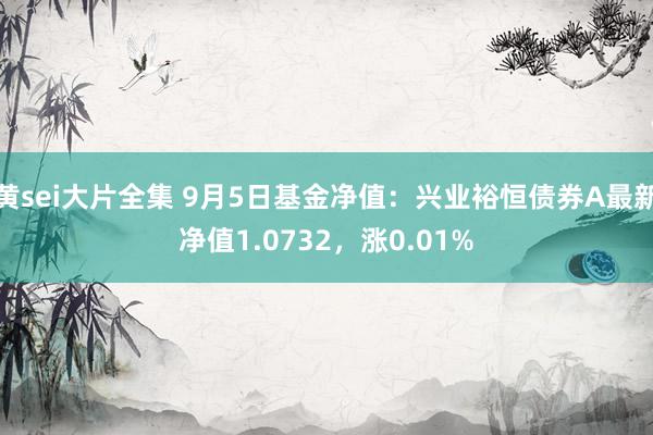 黄sei大片全集 9月5日基金净值：兴业裕恒债券A最新净值1.0732，涨0.01%