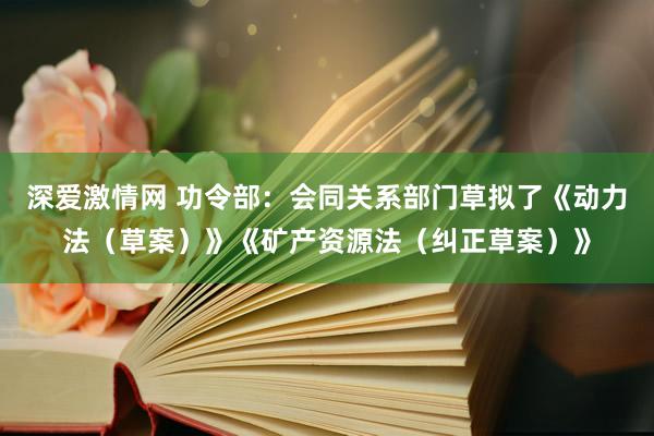 深爱激情网 功令部：会同关系部门草拟了《动力法（草案）》《矿产资源法（纠正草案）》