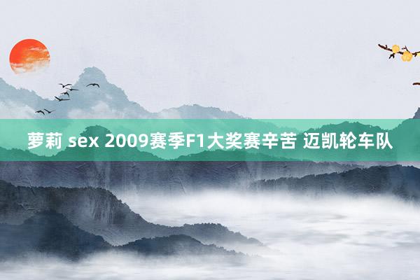 萝莉 sex 2009赛季F1大奖赛辛苦 迈凯轮车队