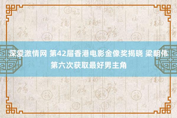 深爱激情网 第42届香港电影金像奖揭晓 梁朝伟第六次获取最好男主角