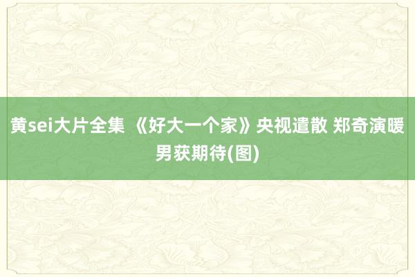 黄sei大片全集 《好大一个家》央视遣散 郑奇演暖男获期待(图)