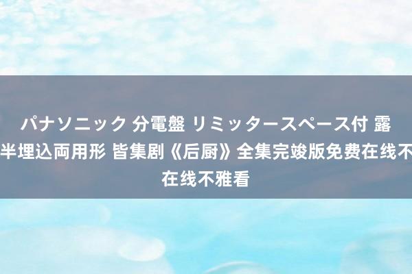 パナソニック 分電盤 リミッタースペース付 露出・半埋込両用形 皆集剧《后厨》全集完竣版免费在线不雅看