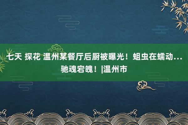 七天 探花 温州某餐厅后厨被曝光！蛆虫在蠕动…驰魂宕魄！|温州市