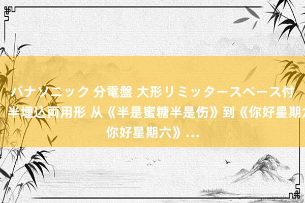 パナソニック 分電盤 大形リミッタースペース付 露出・半埋込両用形 从《半是蜜糖半是伤》到《你好星期六》…