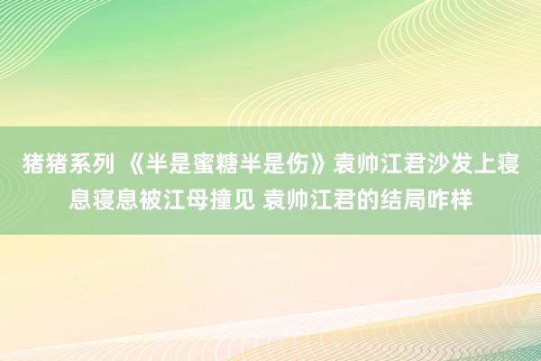 猪猪系列 《半是蜜糖半是伤》袁帅江君沙发上寝息寝息被江母撞见 袁帅江君的结局咋样